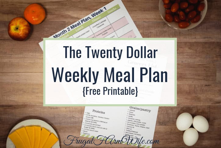 You CAN eat for $20 a week, and here's the meal plan to prove it!
