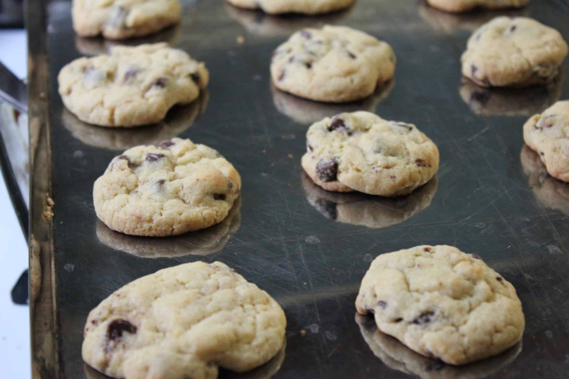 Image shows several rows of gluten free chocolate chip cookies on a cookie sheet.