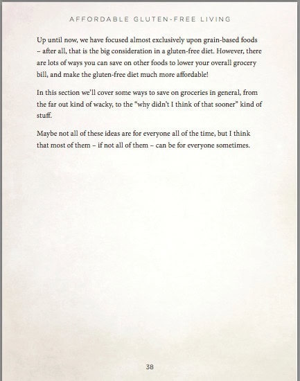 Image shows a screenshot of a page from an ebook