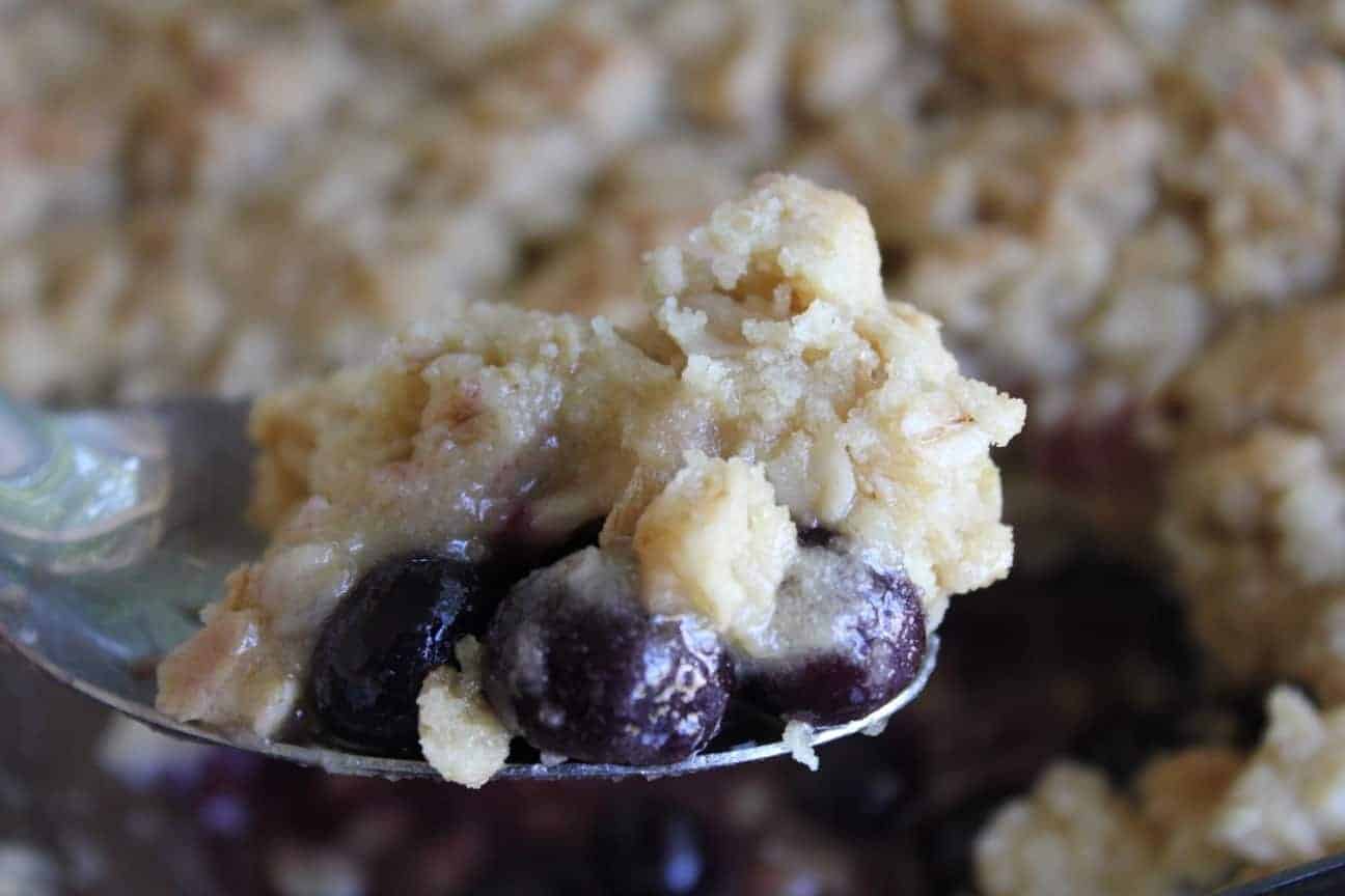 Image shows a spoonful of homemade gluten-free blueberry crisp made with fresh blueberries and a crispy crumble topping.