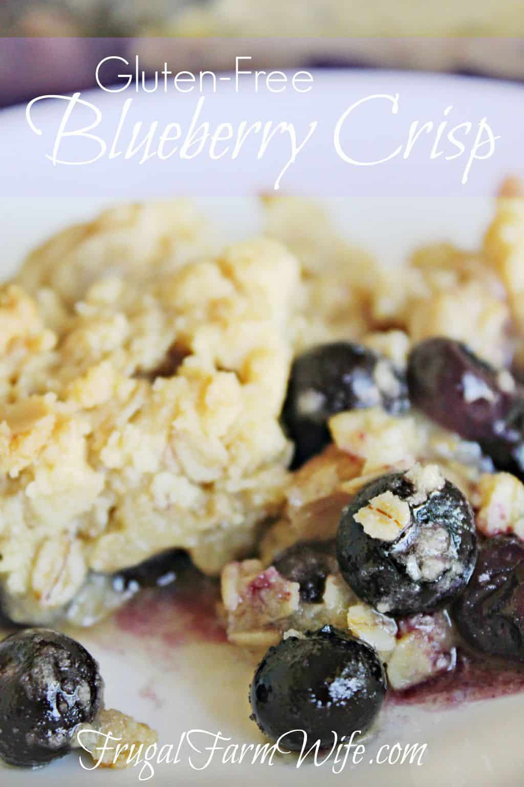 Image shows a serving of gluten-free blueberry crisp on a white plate. Text above reads "Gluten-free Blueberry Crisp"