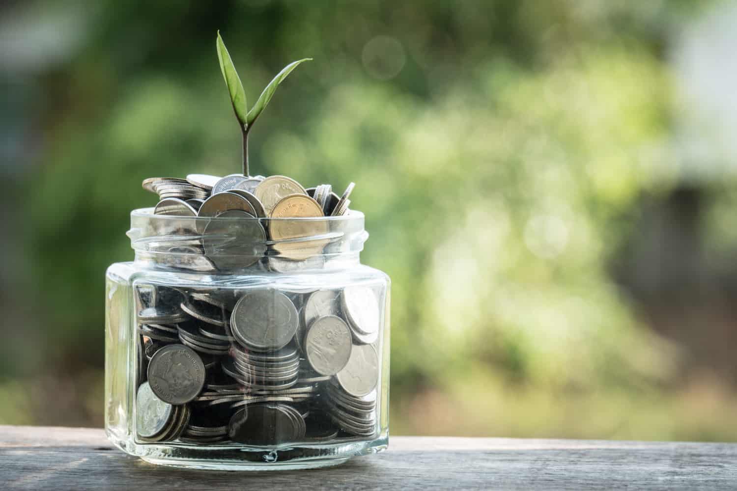 Image shows a glass jar full of coins with a small plant sprouting out of it. 