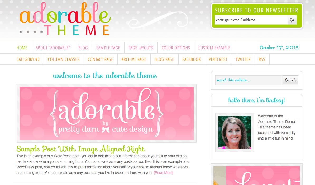 Image shows a screenshare of an "adorable theme" blog theme with a blog laid out to read.