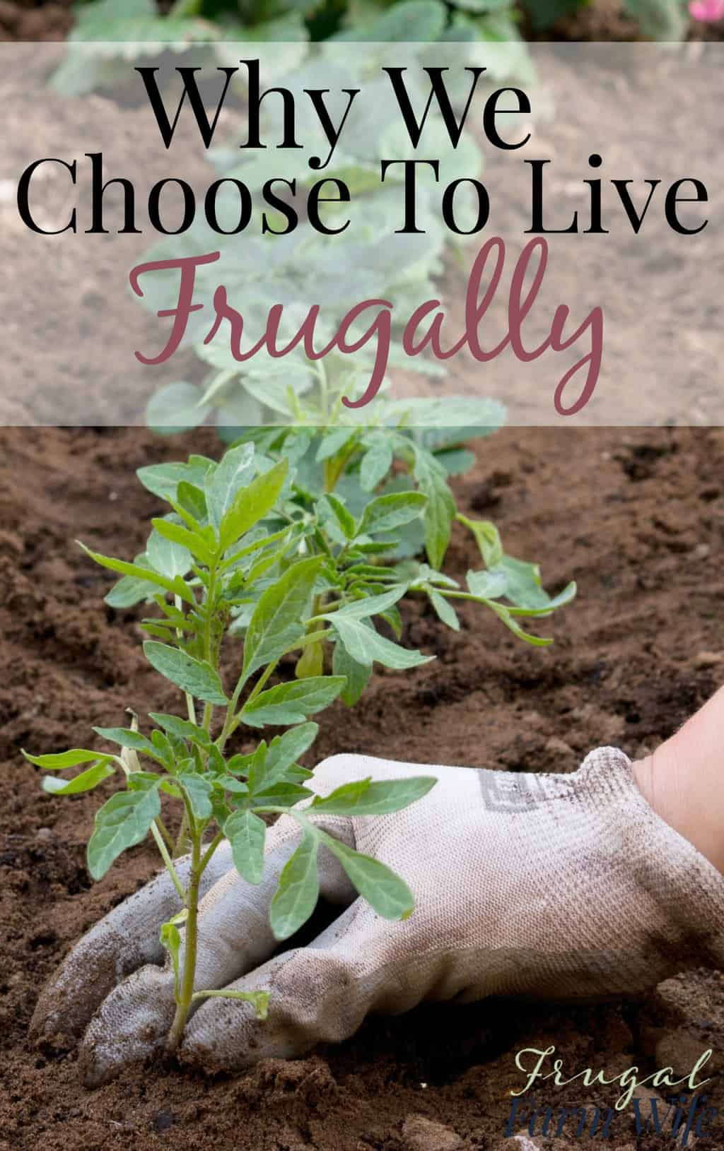 Image shows a hand wearing a gardening glove and tending to small plants in a garden. Text above reads "Why We Choose to Live FrugallY"