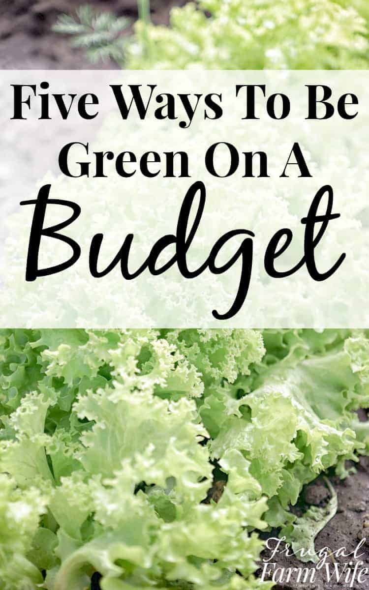 Image shows lettuce growing with an overlaid text box that reads "Five Ways to Be Green On a Budget"