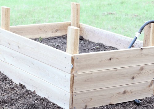 How To Build A Self-Watering Strawberry Garden