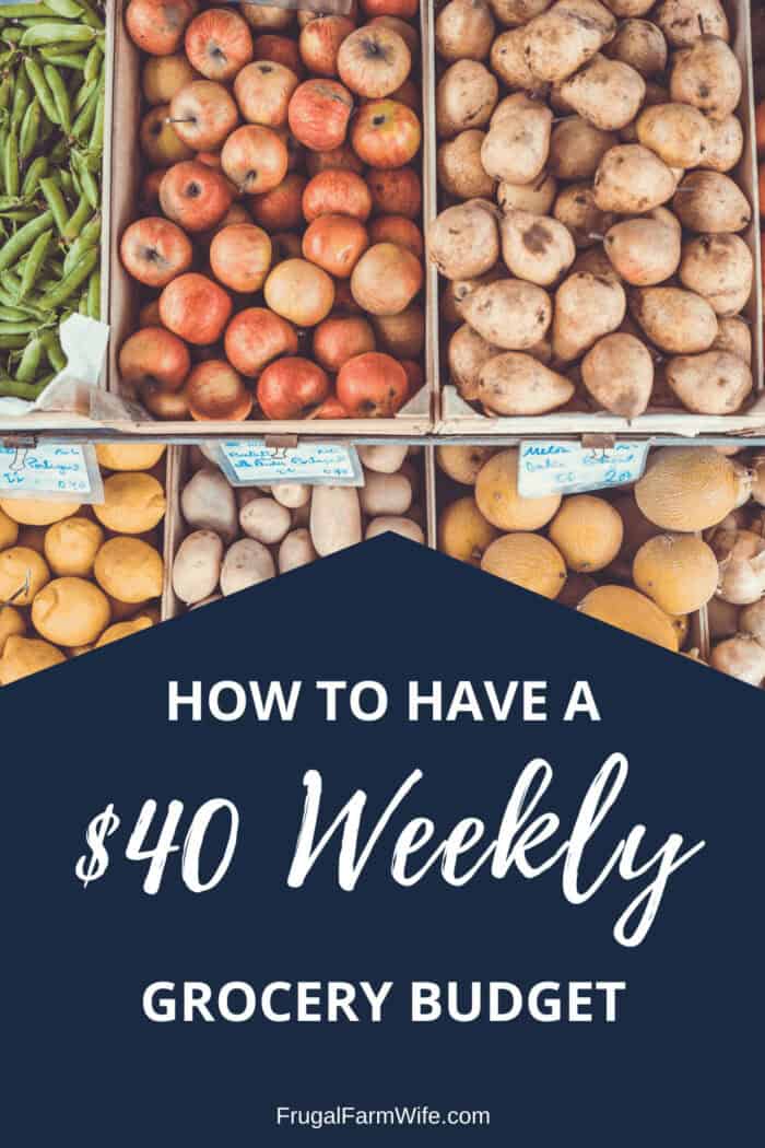 with these tips, you can easily feed your family for just $40 a week!
