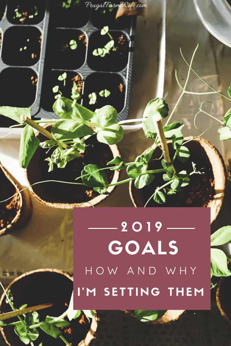 Image, taken from above, shows a small herb garden starting. A text box reads "2019 Goals How and Why I'm Setting Them"
