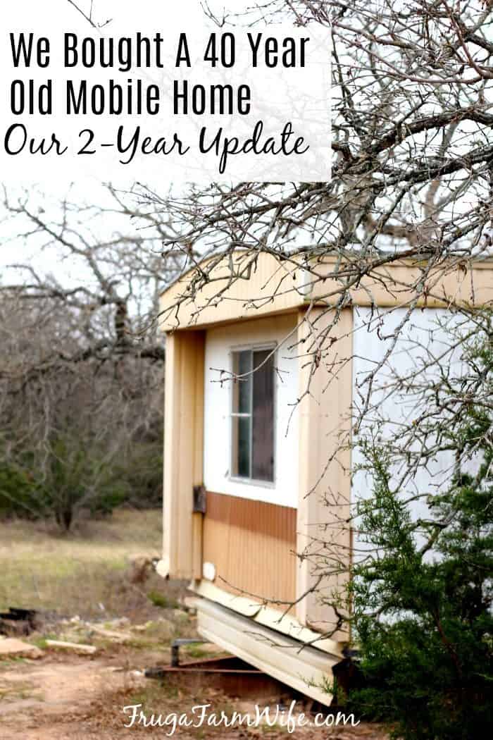 Image shows a mobile home amidst some trees, with text that reads "We Bought a 40 Year Old Mobile Home, Our 2-year Update"