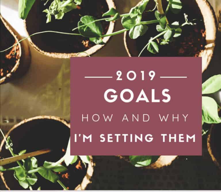 My 2019 Goals