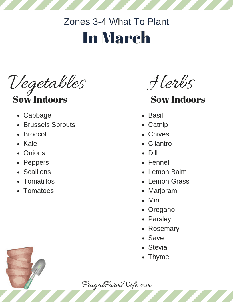 What to plant in march zones 3-4