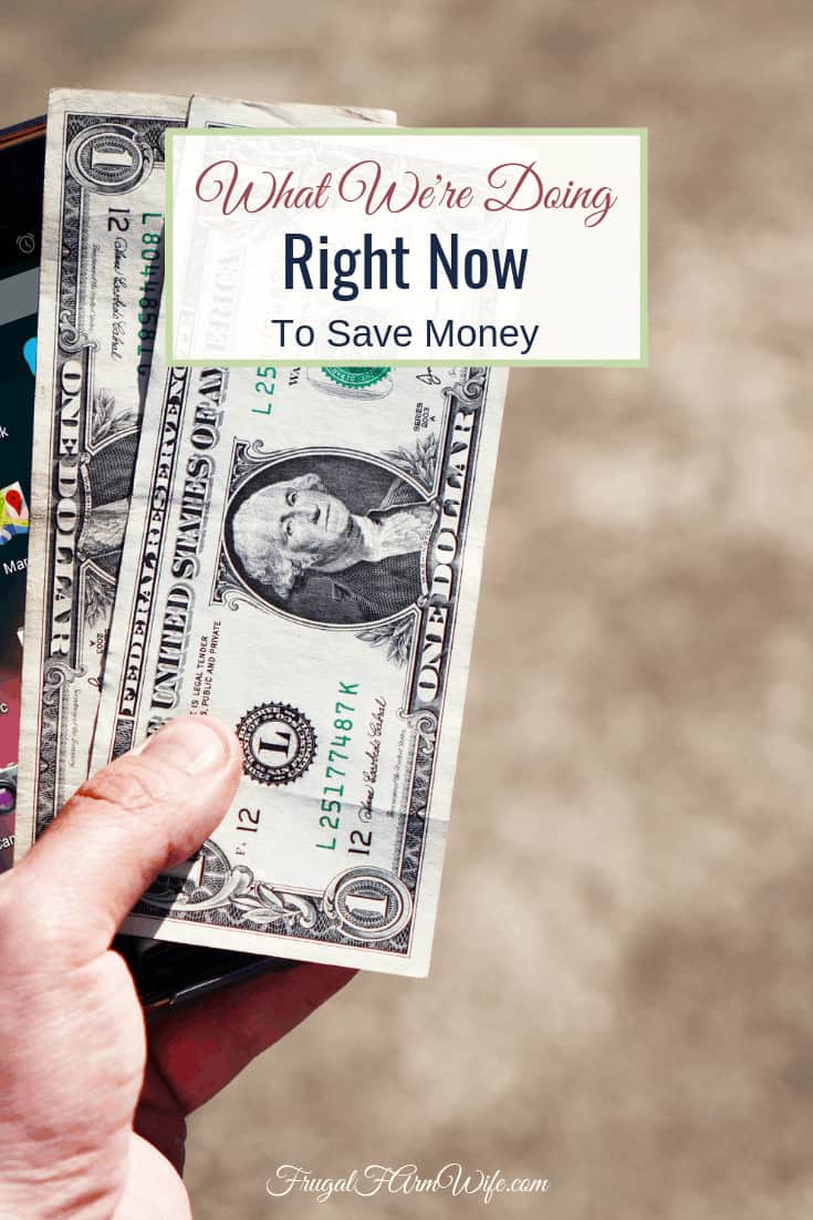 Image shows a hand holding a few dollar bills over the ground in the sunlight. Text overlay reads "What we're doing right now to save money"