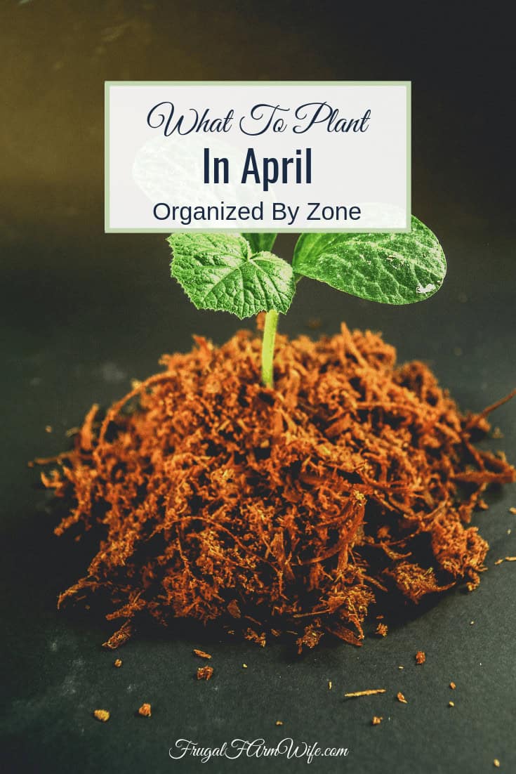 Wondering what to plant in April in your area? Here are the answers you’re looking for!