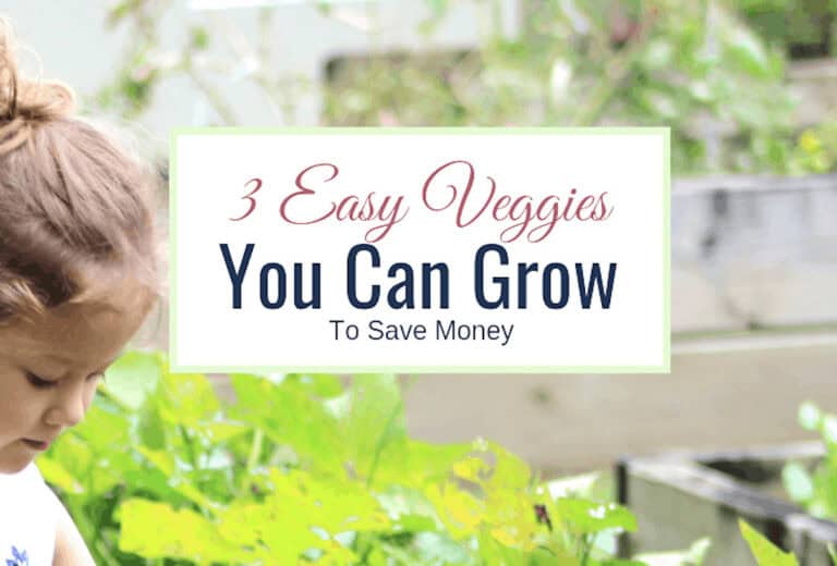 easy veggies you can grow that will save money to boot!