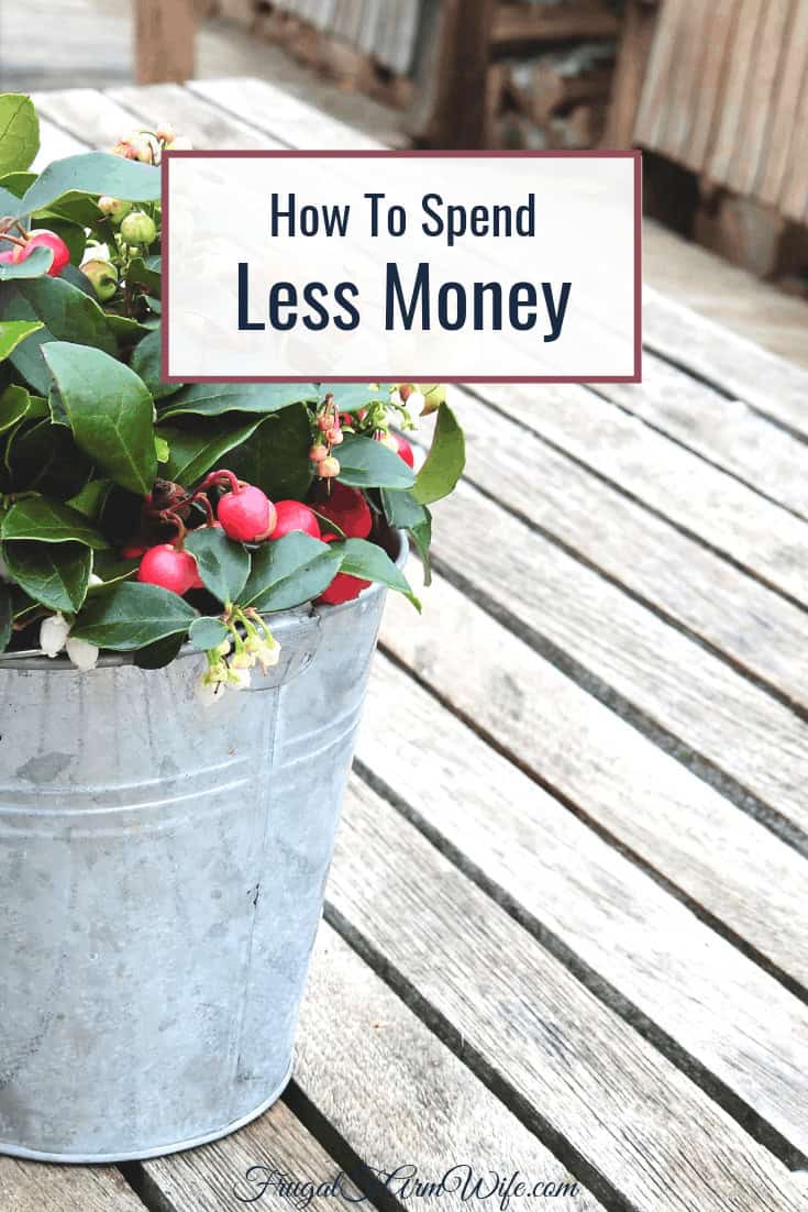 Image shows a tin bucket as an outdoor planter on a picnic table filled with plants and flowers. Text overlay reads "How to Spend Less Money" 