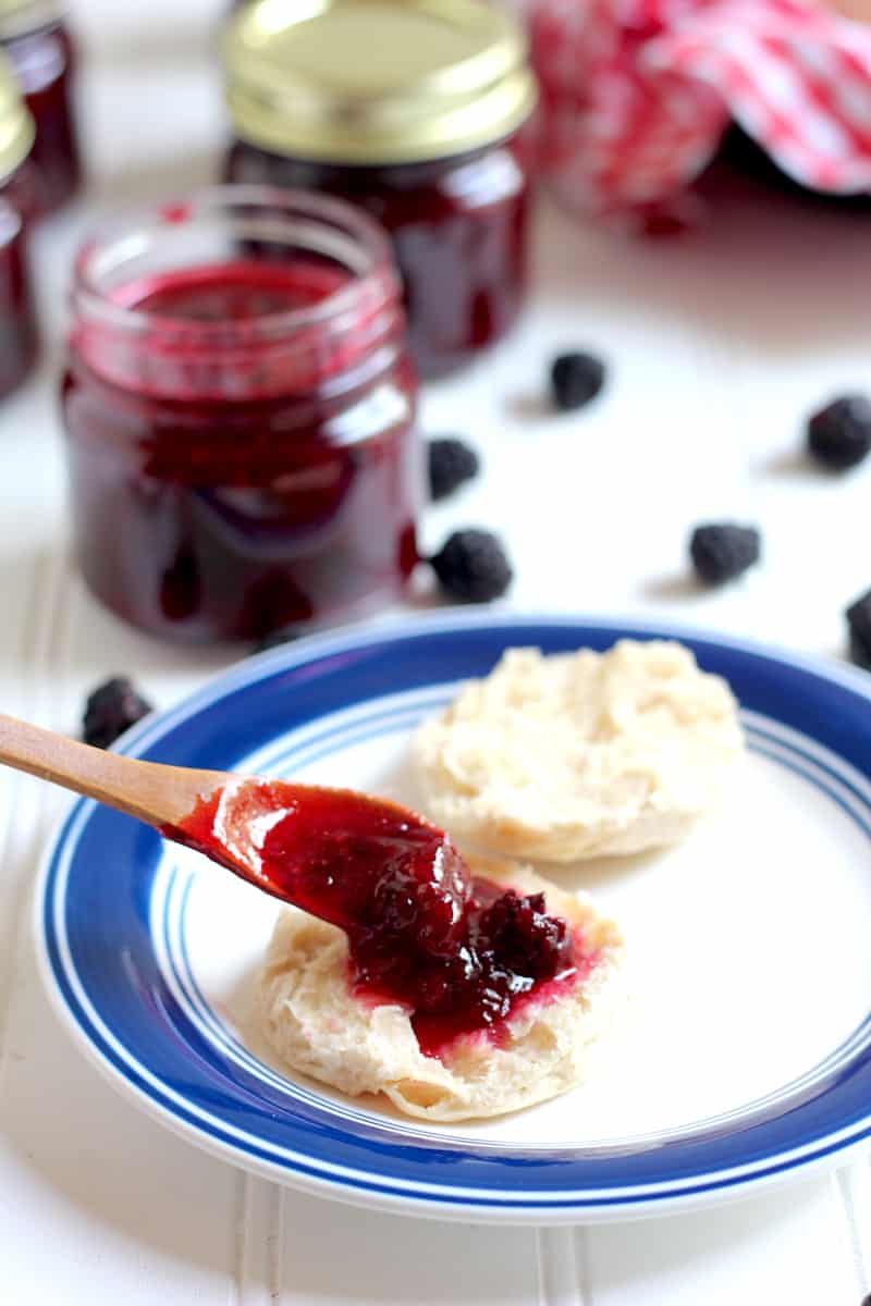 this recipe for blackberry freezer jam will knock your socks off!