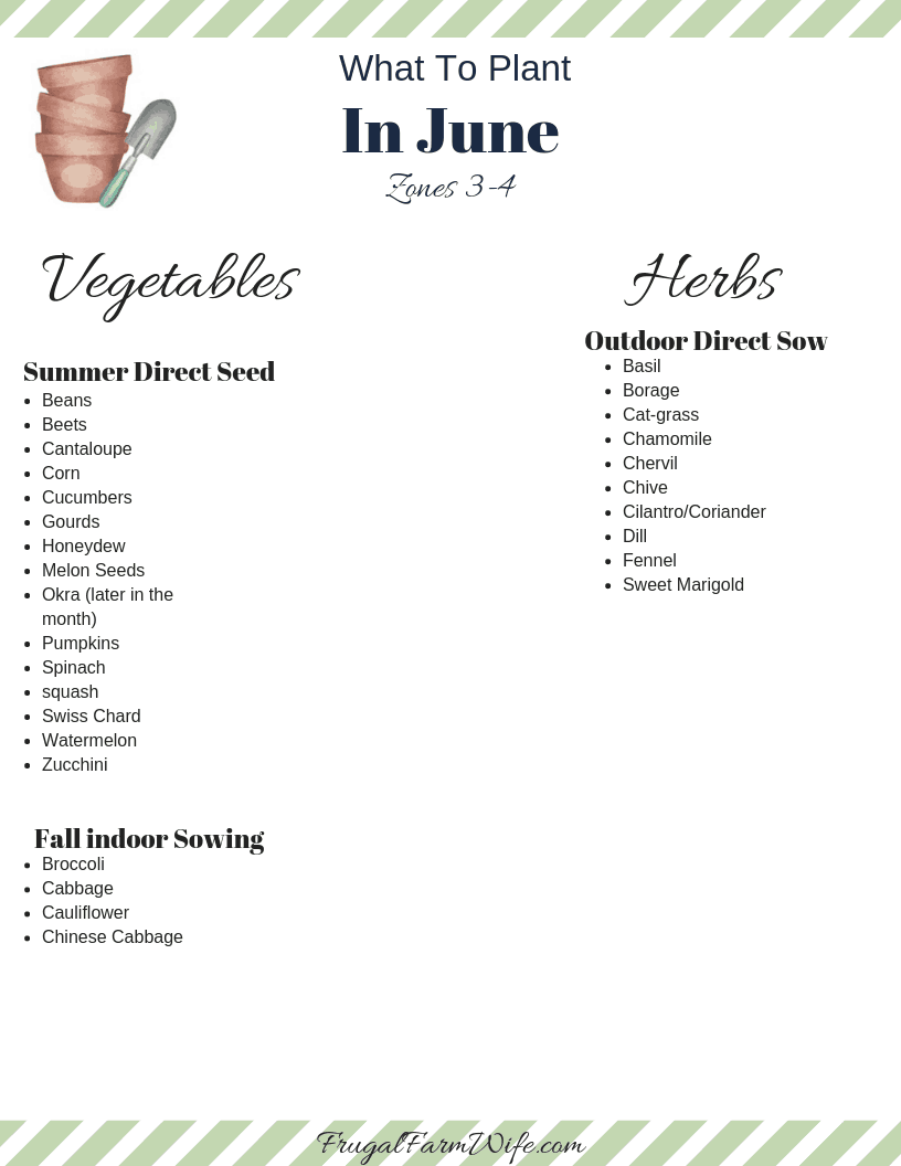 Vegetables to plant in June Zones 3-4