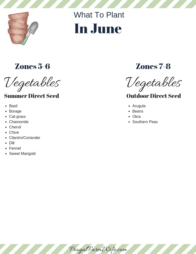 what to plant in June zones 5-9