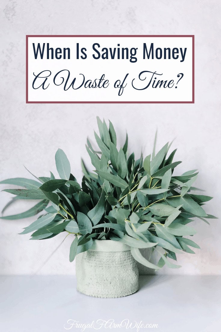 Image shows a potted plant sitting on a white counter, with text overlay that reads "When is Saving Money a Waste of TIme?"