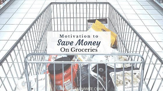 motivation to save money on groceries
