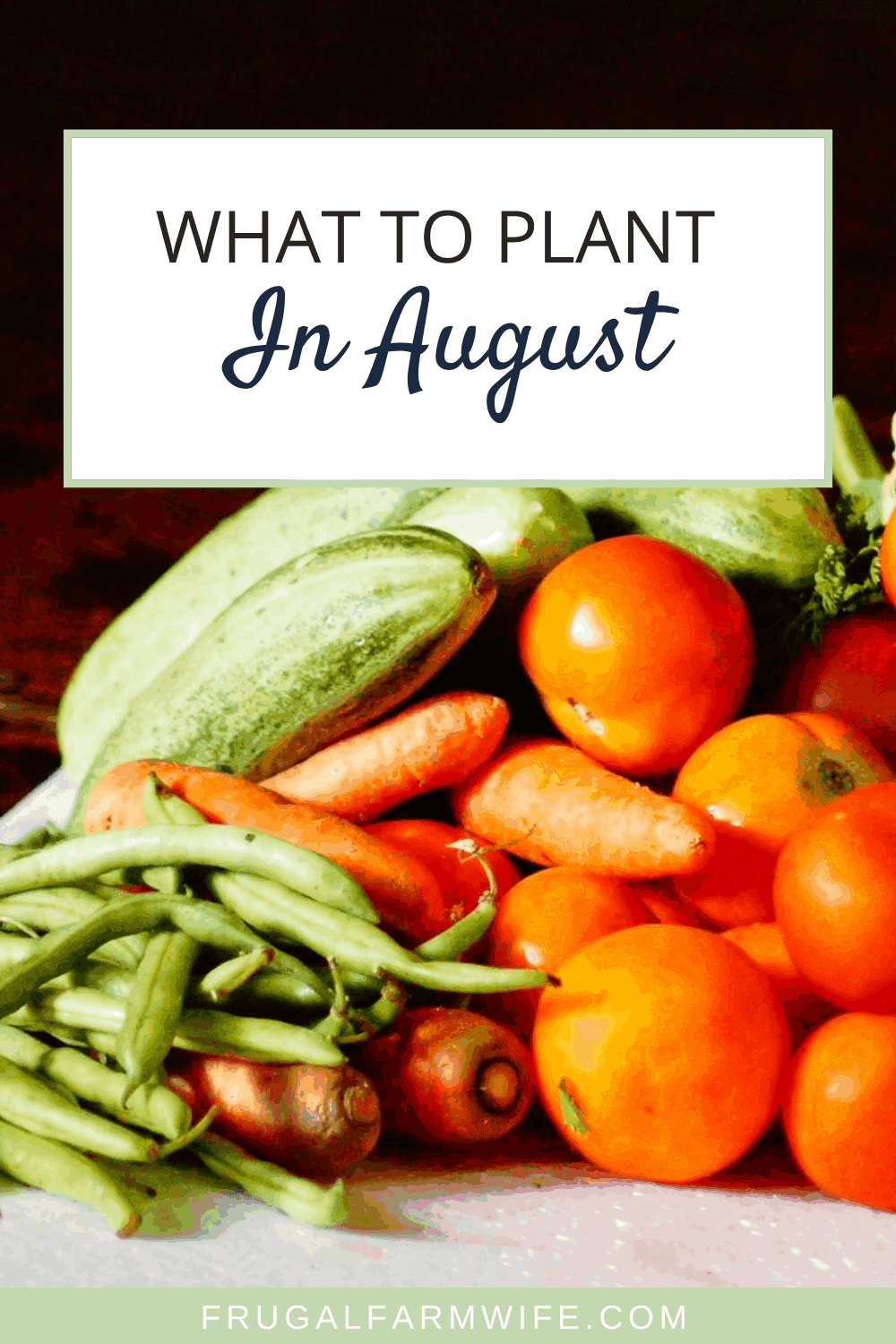 Image shows a table full of vegetables, including green beans, carrots, tomatoes, cucumbers, with text overlay that reads "What to plant in August"