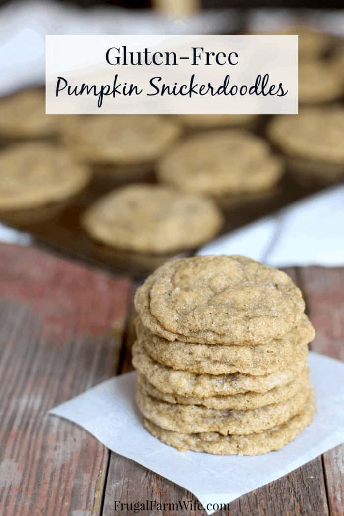 Image shows a stack of gluten free Snickerdoodle on a table. A tray of cookies sits in the background.
