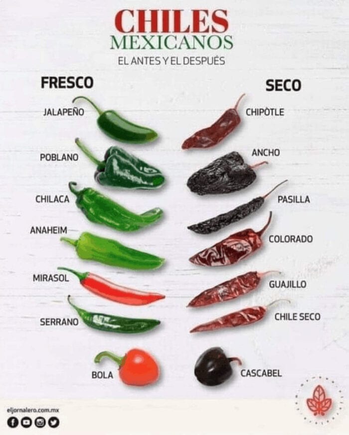 A diagram of various types of peppers, both fresh and dried