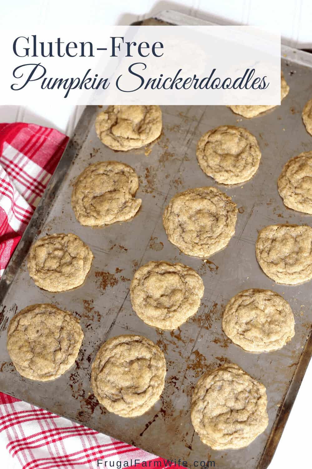 Image, taken from above, shows a cookie sheet full of gluten free pumpkin snickerdoodle cookies 