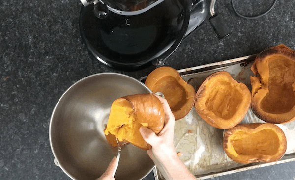 scraping out pumpkin flesh to make pumpkin purée