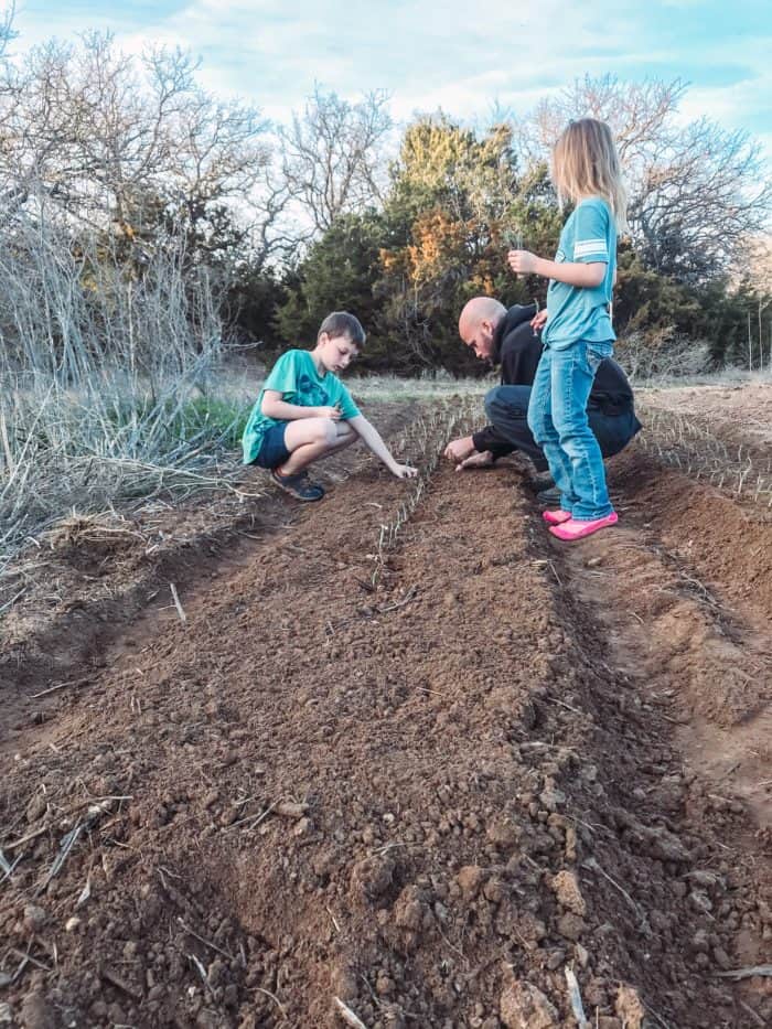 Photo shows a family planting outside in a field 