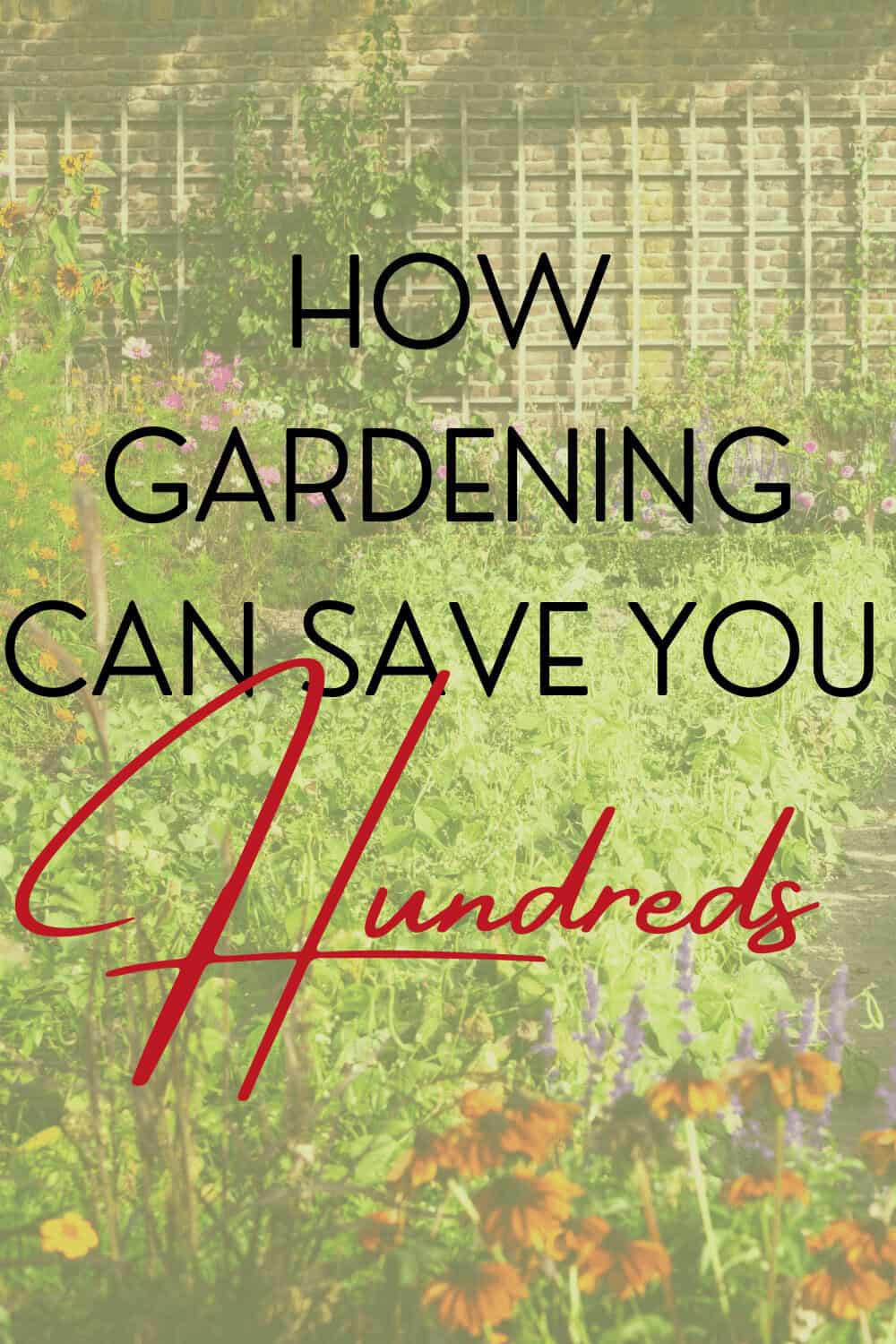 How gardening can save you hundreds of dollars every year
