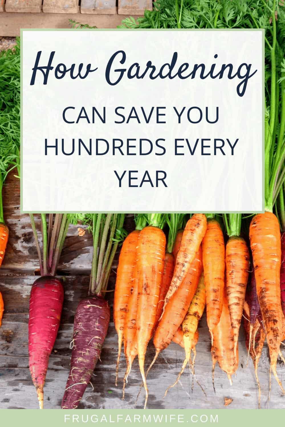 how to save hundreds of dollars with a garden