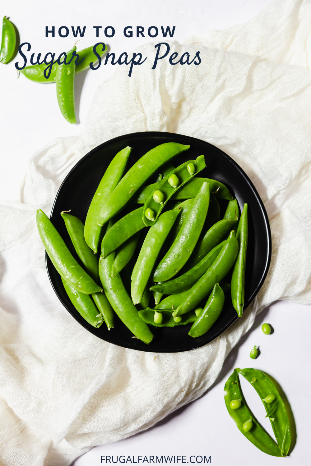 Image, taken from above, shows a black plate on a white tablecloth full of fresh sugar snap peas. One on top is peeled open revealing the peas.