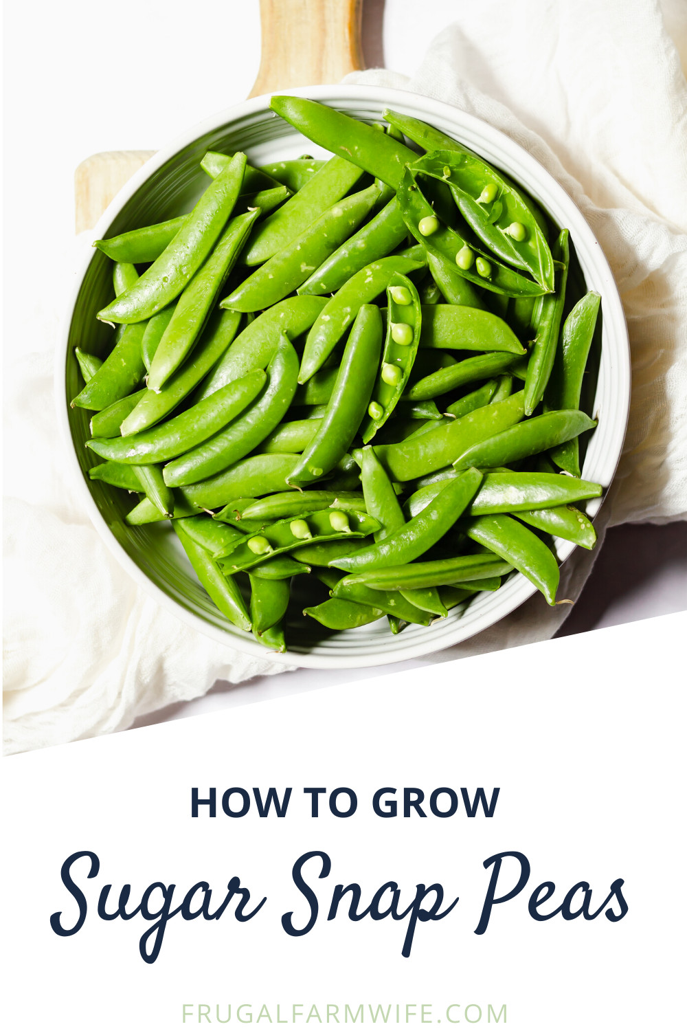 Photo, taken from above, shows a white bowl full of freshly harvested sugar snap peas on a white tablecloth. Some of the pea pods are split in half, revealing the inside of the pea. Text reads "How to Grow Sugar Snap Peas'
