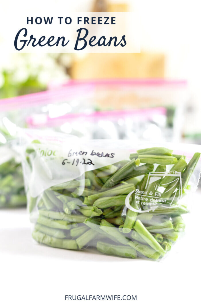 you don't have to blanch green beans in order to freeze them!
