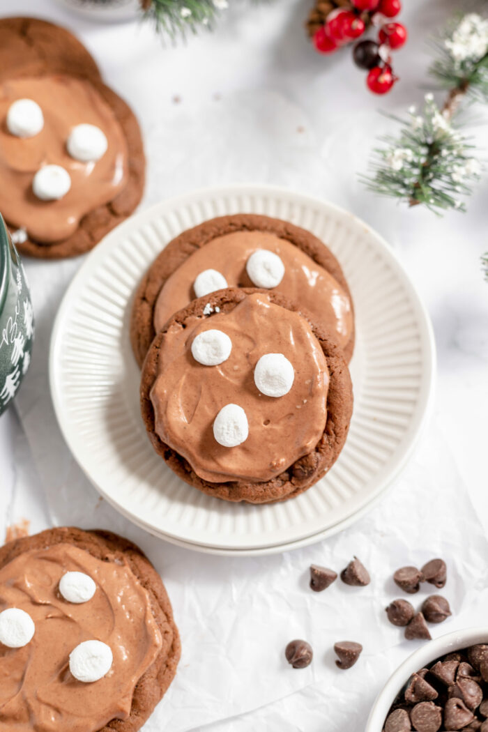 Image shows two hot chocolate cookies with marshmallows on top, on a white plate.