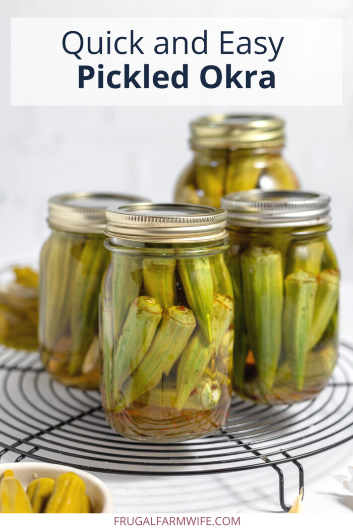 Quick and Easy pickled okra recipe