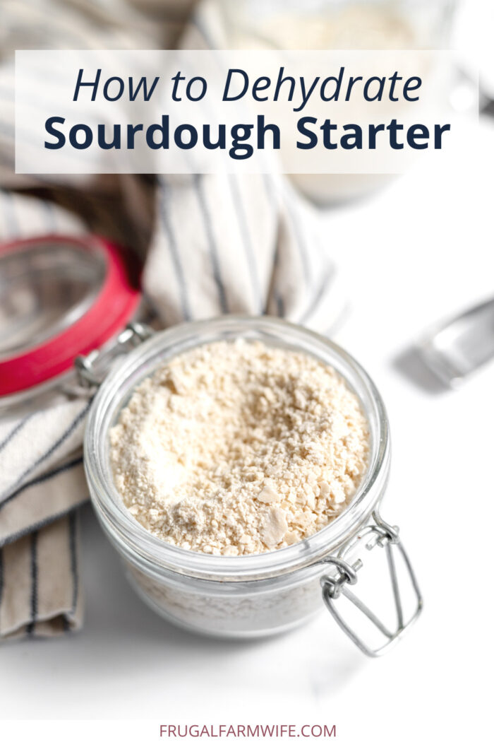 how to dehydrate sourdough starter for storage