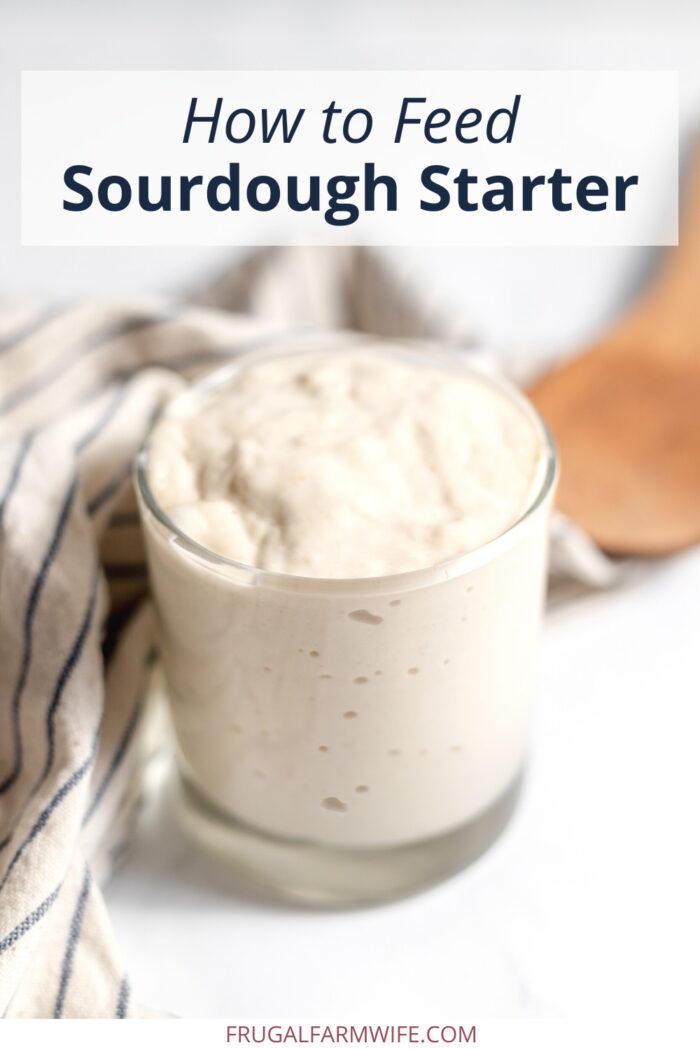 how to feed sourdough starter to use in making sourdough bread and other baked goods