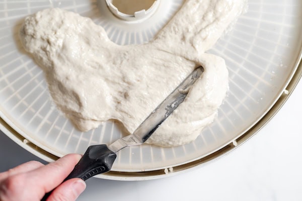 spreading a layer of sourdough starter on a dehydrator tray