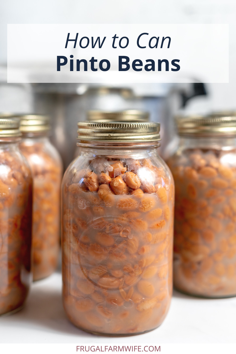Image shows several large jars of pinto beans lined up on a counter. Text above reads "How to Can Pinto Beans."
