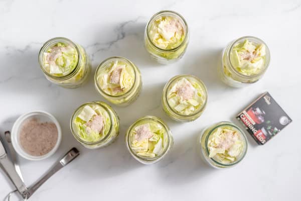 jars of cabbage with salt on top