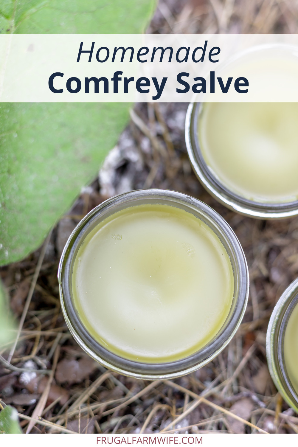 Image shows containers of homemade comfrey salve next to a comfrey plant in a mulched garden. Text above reads "Homemade Comfrey Salve"