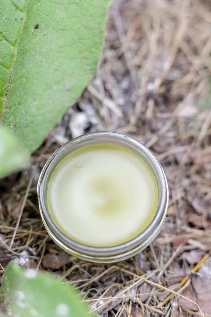 Image, taken from above, shows a jar of salve sitting by a comfrey plant