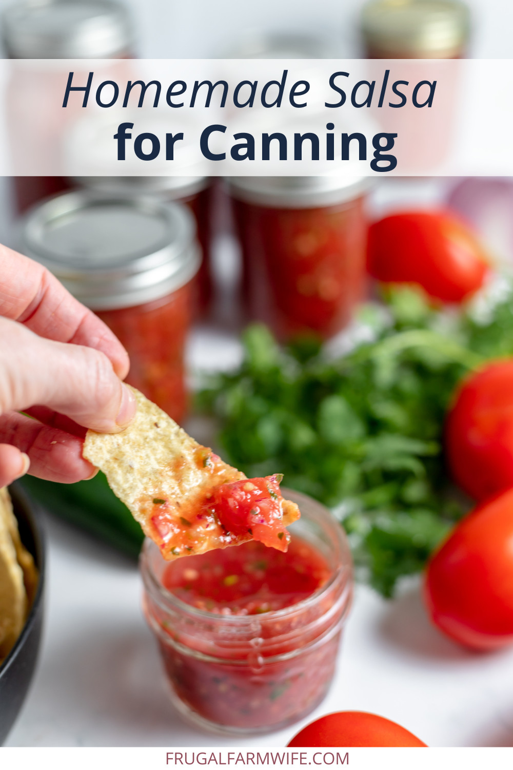 Image shows a small jar of homemade salsa with a tortilla chip being dipped in it. Several more jars and tomatoes sit in the background. Text above reads "Homemade Salsa for Canning"