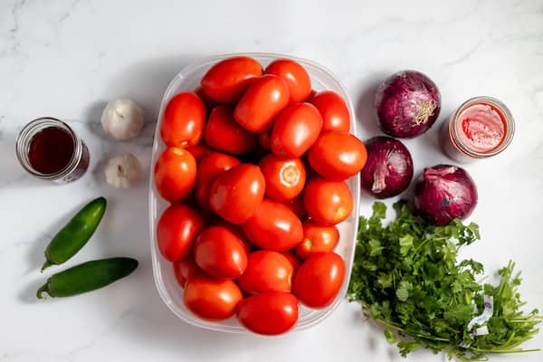 Image, taken from above shows the ingredients for making homemade salsa including a large amount of tomatoes, onions, garlic and more. 