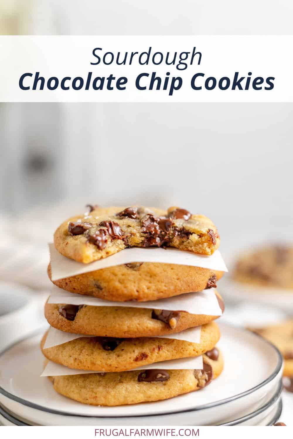 Image shows a stack of sourdough chocolate chip cookies on a small plate, separated by small pieces of parchment paper. Text above reads "Sourdough Chocolate Chip Cookies"