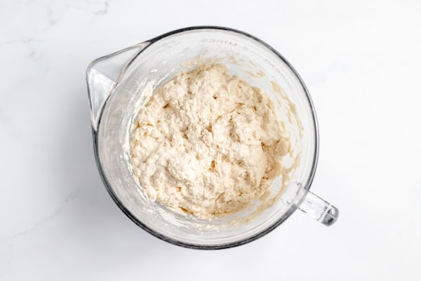 dough mixed together, resting in a bowl