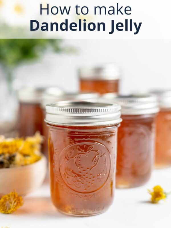 dandelion jelly recipe