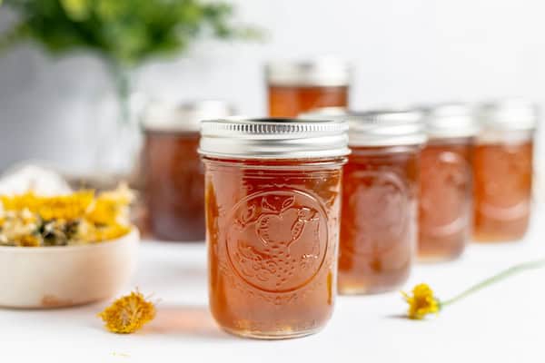 Dandelion Jelly Recipe